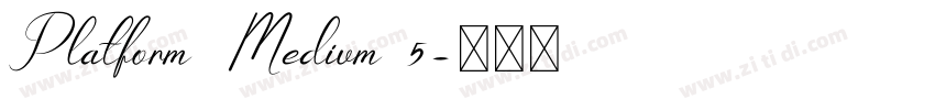 Platform Medium 5字体转换 Platform Medium 5字体转换